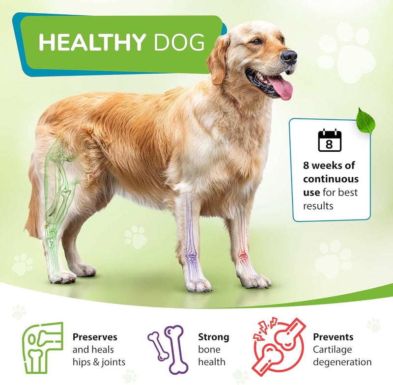FlexiPaw - High Strength Hip And Joint Supplement for Dogs with Glucosamine, Chondroitin, Green Lipped Mussel | 120 Tablets