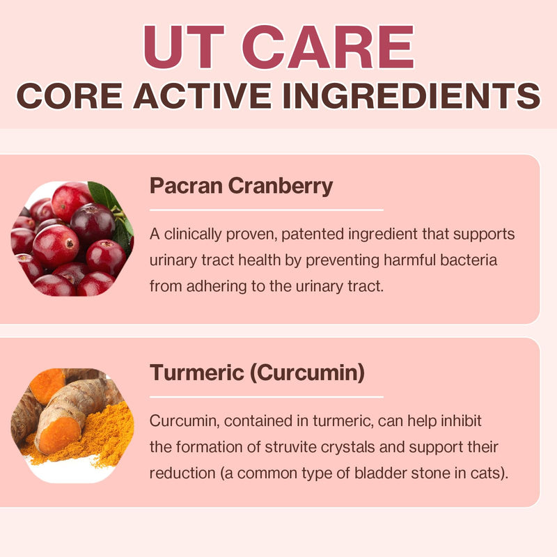 Doctor By UT Care Cat UTI Kidney Support Urinary Supplement Cranberry Treatment for Cats Renal Health with Pacran, Quercetin, Taurine lickable Formula Individually Packaged (1 Pack) 1 Pack