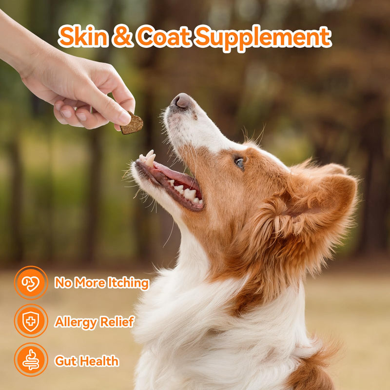 Dog Allergy Chews, Dogs Allergy Relief Chews for Paw Ears Eyes Itchy Skin Coat Supplement, Dog Itching Relief with Probiotics & Colostrum for All Breeds & Sizes Salmon 90 Count
