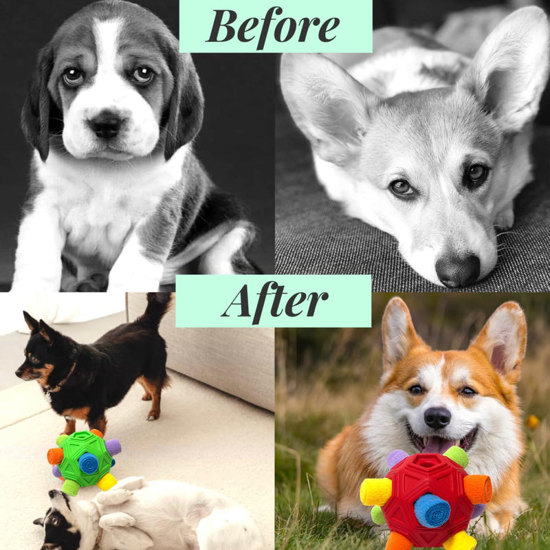 Snuffle Ball for Dog Toys Unbreakable Upgrade Ball Interactive Toy Foraging Snuffle Mat Puppy Treat Dispenser Slow Feeder Dog Puzzle Toys for Small, Medium, Large Pets (Red Rainbow) Red Rainbow - BeesActive Australia