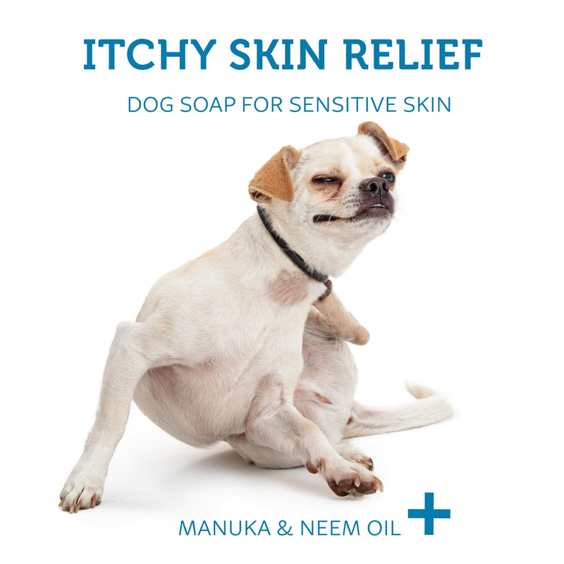 Dog Shampoo Bar Soap for Itchy Skin Relief - 2.8 oz - Concentrated Dog Soap for Sensitive Skin with Natural Manuka and Neem Oil to Ease Allergies, and Itching 2.8 oz (80g) Soap Bar - PawsPlanet Australia