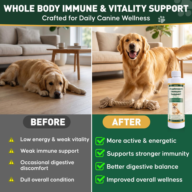 Mushroom Immune Gold for Dogs, Complementary Immune Support with Functional Mushrooms Reishi, Maitake & Turkey Tail, Supports Immune Health, Antioxidant Wellness, Gut Balance & Daily Vitality, 8oz