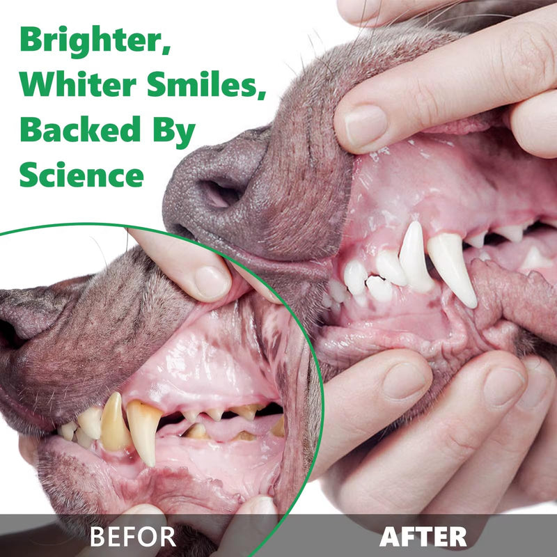 Pet Natural Dental Cleaning Powder for Oral Hygiene, Dental Powder for Small, Medium & Large Dogs Also for Cats. Reduces Plaque, Prevents Tartar, Improves Breath. No Brushing Needed. (80, Grams) 80 Grams
