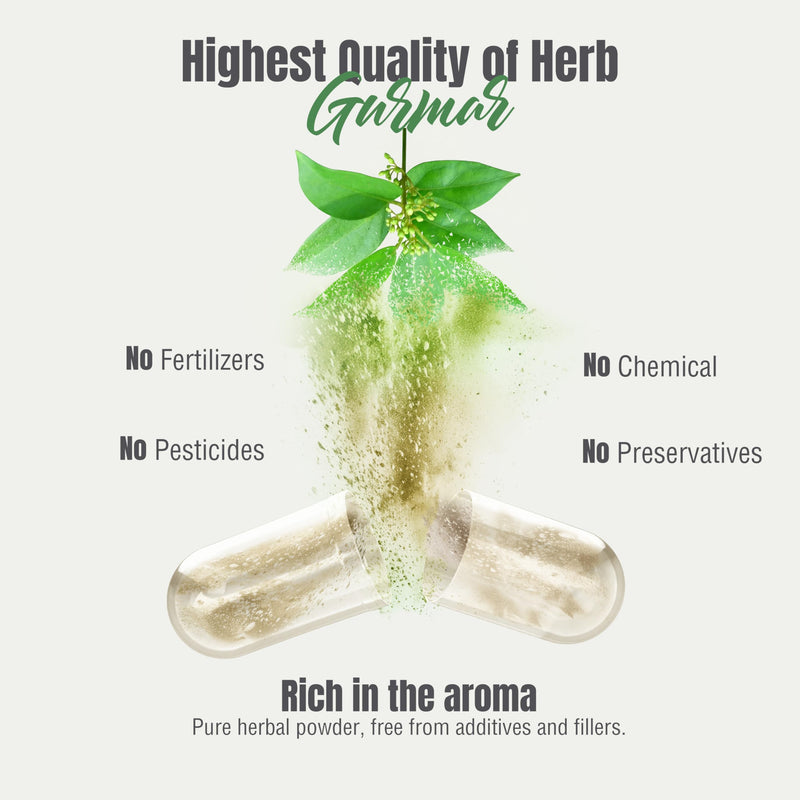 Gurmar Capsules | Gymnema Sylvestre Extract 7:1 | 90 Vegan Capsules | Ayurvedic Herbal Supplement | Supports Healthy Sugar Metabolism & Wellness 90 Count (Pack of 1) - BeesActive Australia