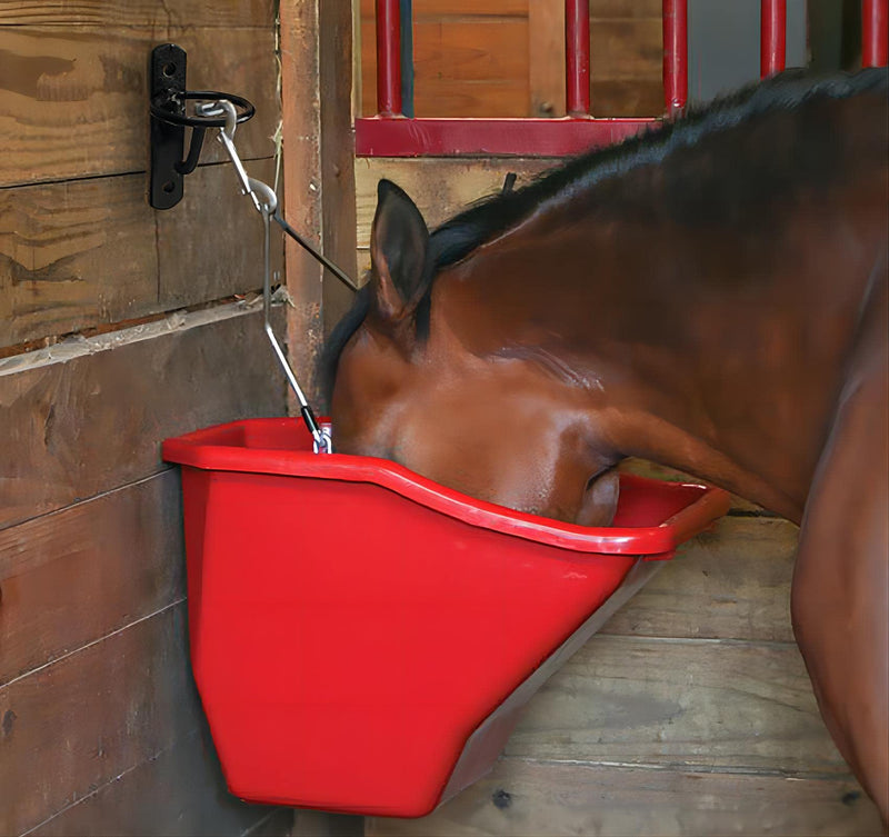 Water Bucket Hook for Horses Metal Bucket Hangers for Horse Stalls Wall Mount Bucket Holder for Grain Feed Stable Farmhouse Supplie (Black) Black - BeesActive Australia