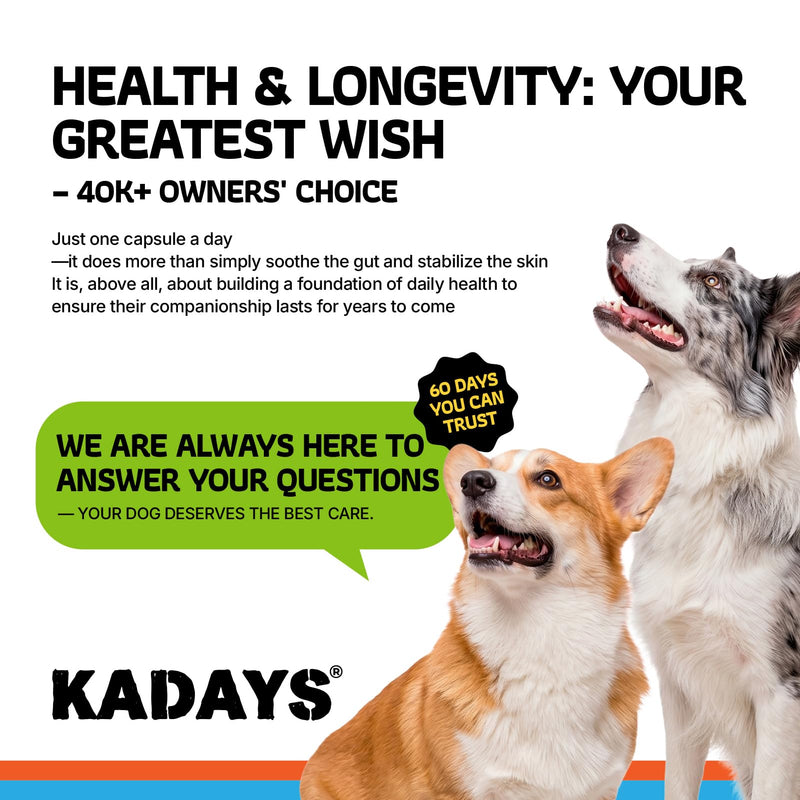 Probiotics for Dogs Probiotics for Digestive Health Dog Gut Health Probiotics Dog for Diarrhea Gut Immune Health Digestive Probiotic Chews for Dogs Itchy Skin Eases Bloating Chicken Flavor 200 Ct