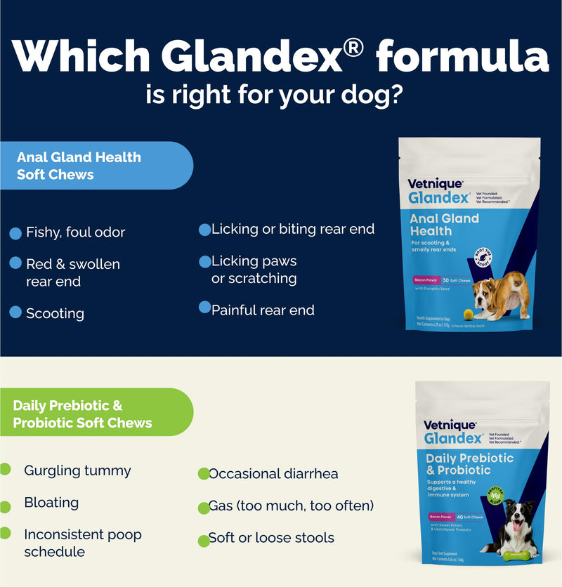 Vetnique Glandex for Dogs Prebiotic & Probiotic Supplement Chews 60 Count Bacon Flavor Plus Glandex Anal Gland Support Chews 60 Count Peanut Butter Flavor, 5-Strain Probiotics for Dogs Bundle