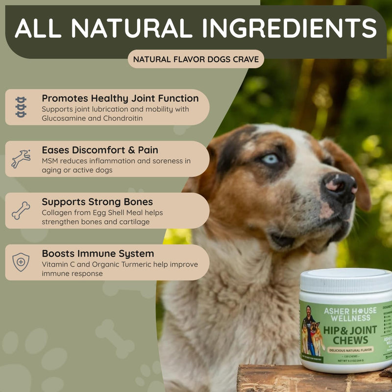 Asher House Wellness Hip and Joint Supplement for Dogs - Natural Soft Chew with MSM, Chondroitin, Glucosamine, Vitamins - Promotes Joint Health & Pain Relief Senior & All Dog Breeds, Large, 120 Chews - PawsPlanet Australia
