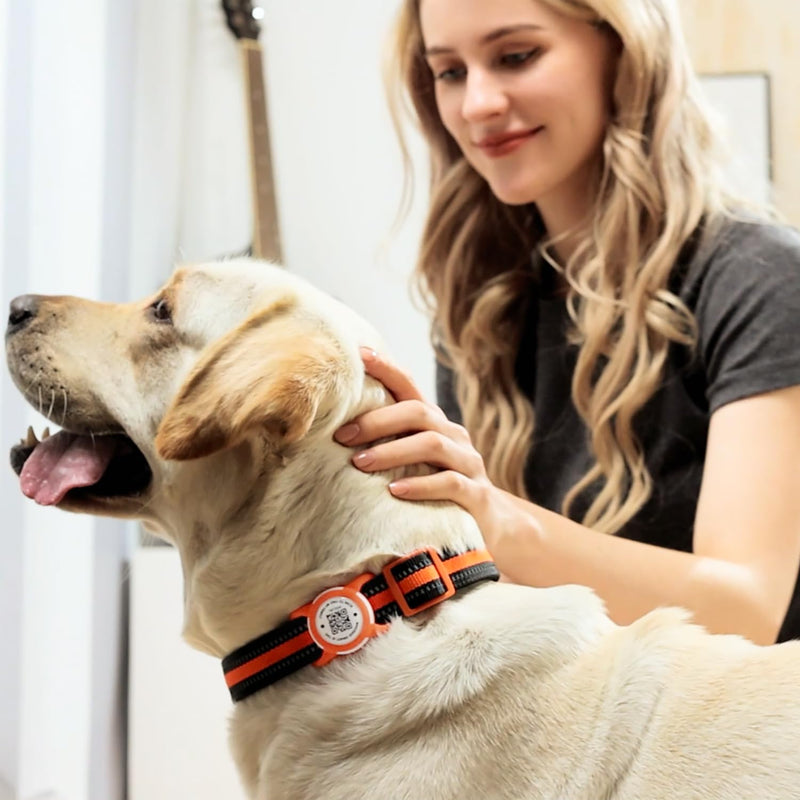 QR Code Airtag Holder, Scan QR Code Send Location Alert Email, Waterproof Full Body Protection Anti-Lost Air Tag Case, Airtag Accessories for Dog, Cats, Collar, Backpack (Black, Regular) Black - BeesActive Australia