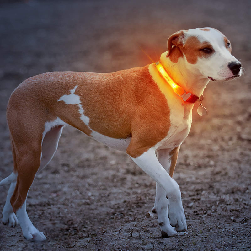LaRoo Safety LED light band for dogs and cats, LED light flashing light with Velcro fastener, easy to attach to collar, leash and harness, waterproof, bright, outdoor sports, orange - BeesActive Australia