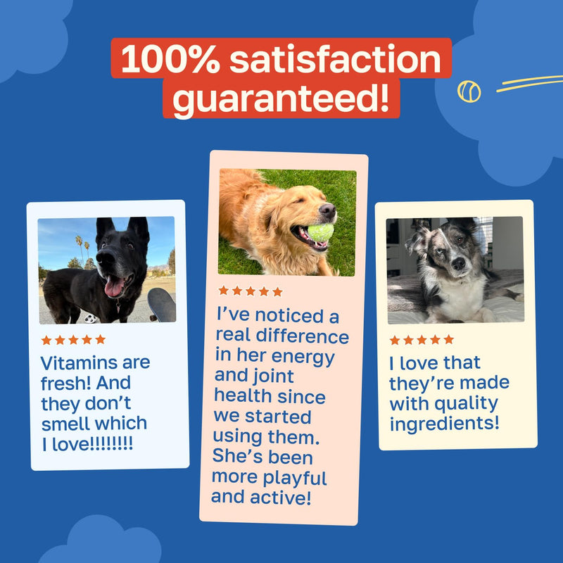 Happy Paws 10-in-1 Dog Multivitamin, Supplements for Dogs for Daily Nutritional & Immune Support, Suitable for All Breeds & Ages with Coconut Oil, Vitamin D3 and Biotin, Vegan Lamb Flavor, (100 Chews) 100 Count