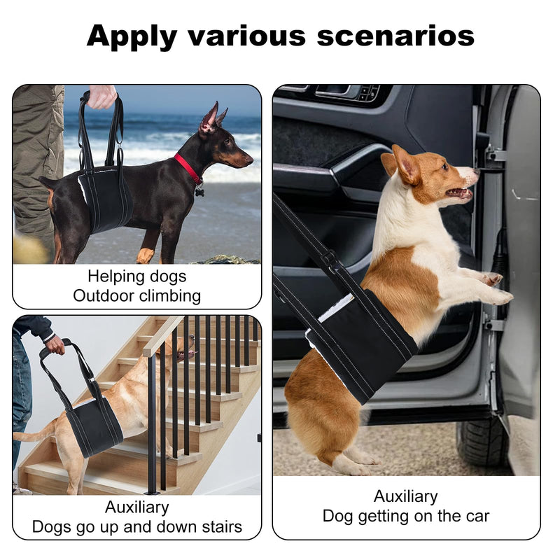 Dog Sling for Back Legs, Dog Sling for Large Dogs Hind Leg Support Adjustable Dog Sling, Dog Support K9 Dog Lift Harness, Helps Senior Dog, Lnjured, After ACL Surgery Rehabilitation (Large) - BeesActive Australia