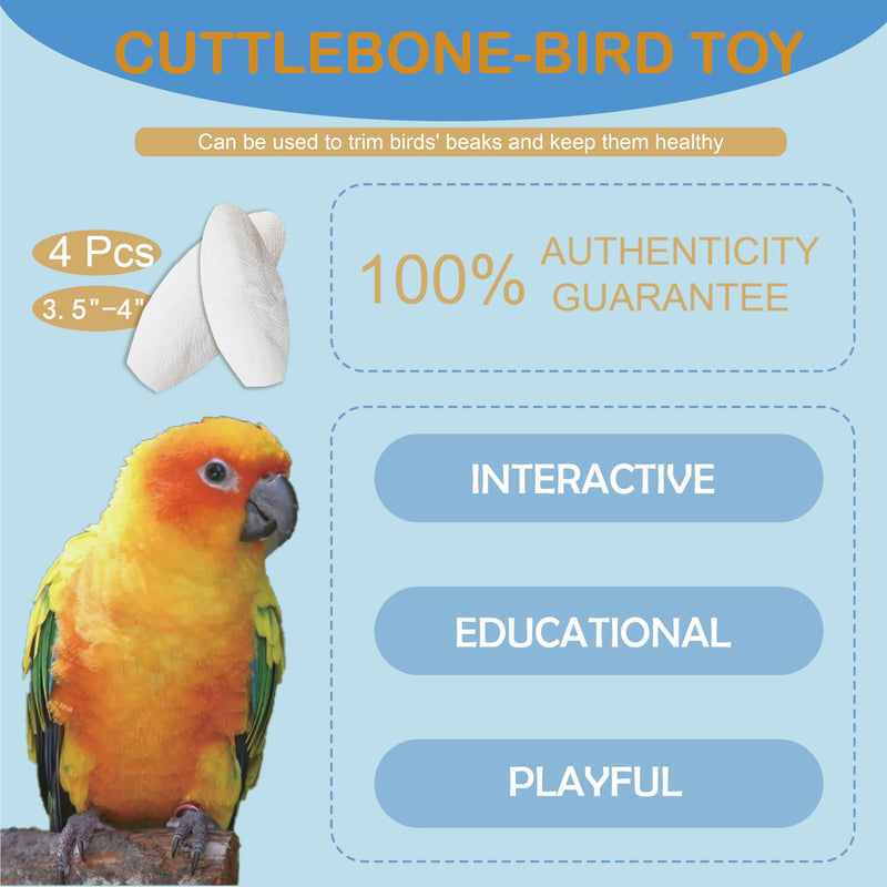 Jmxu's 3.5"-4" Cuttlebone for Birds Parakeets, Cuddle Bone with Metal Holder, Cuttlefish Bone for Sharp Beaks, Natural Birds Calcium for Parrots Cockatiels Tortoises, 4 Pcs 4 Pcs (3.5"-4") - BeesActive Australia