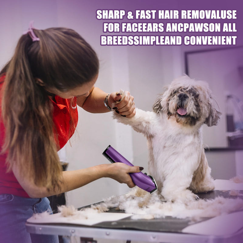 Professional Animal Pet Dog Cat and Horse Cordless Hair Clipper Grooming Kit with 5 in 1 Blade Low Noise & High Power Rechargeable Cordless Pet Grooming Clipper for Thick Heavy Coats -Purple Purple - BeesActive Australia