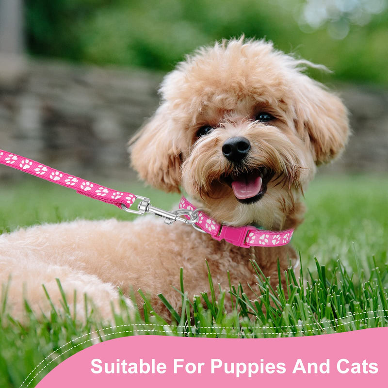 tonyg-p 2 piece puppy collars with leash set, dog collar and leash, adjustable dog collar, soft nylon pet collar for puppies, small medium dogs - BeesActive Australia