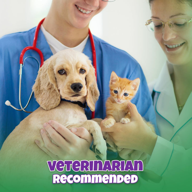 Natural Dog & Cat UTI Treatment with Cranberry & D-Mannose, Bladder, Kidney, Incontinence Support, Healthy Urinary Tract for Dogs, Best Cat Urinary Tract Infection Treatment, Easy-to-Use Drops, 2 oz 2 FL OZ