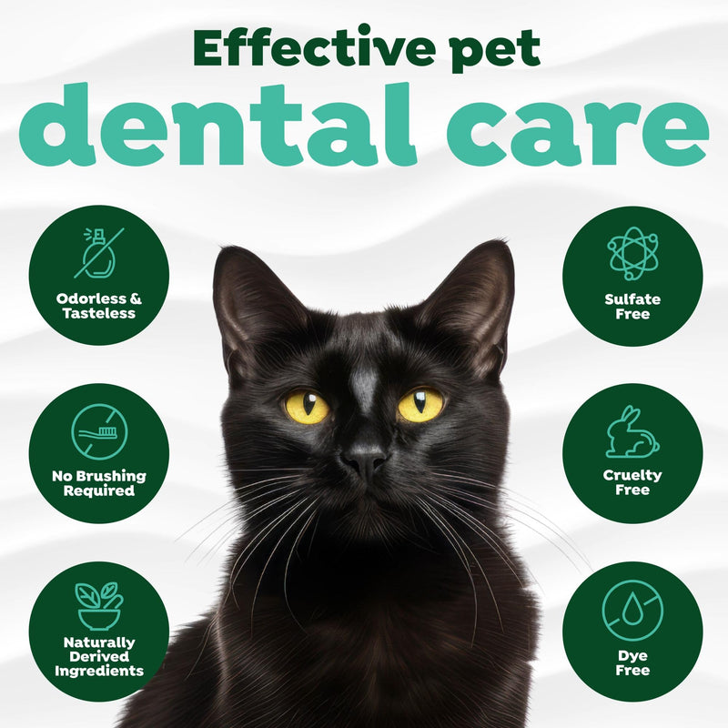 TropiClean Fresh Breath Cat Dental Water Additive + Urinary Tract Support, with Cranberry Extract, Teeth Cleaning & Breath Freshener Solution, 16oz