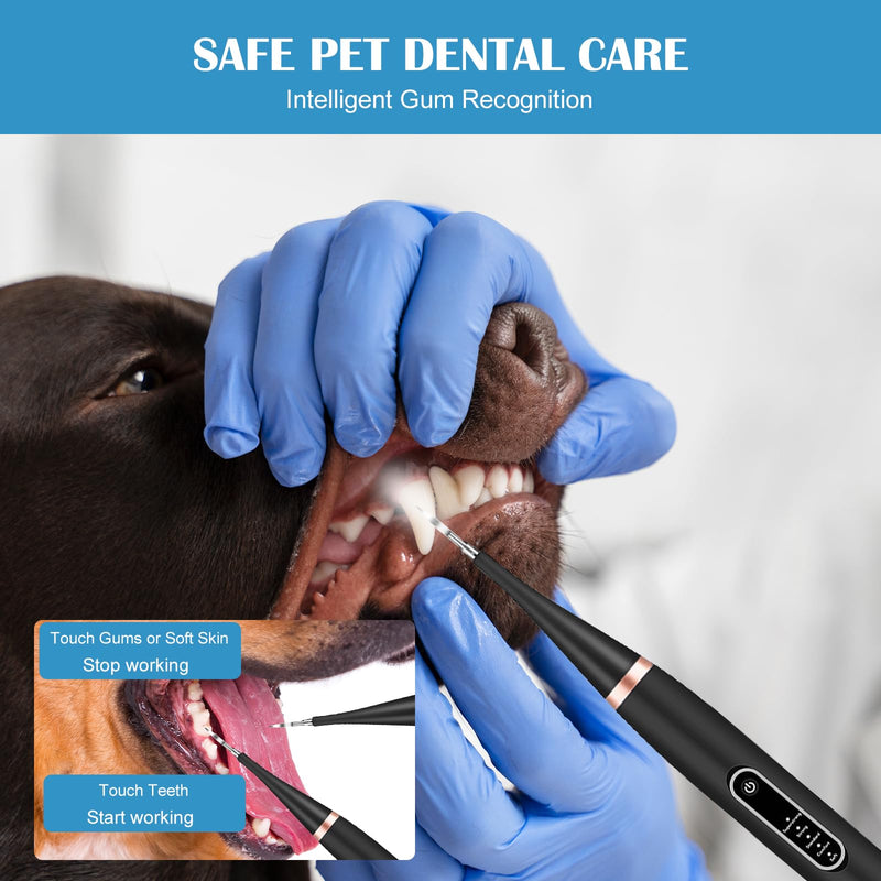 OlyPegic Dog Plaque Remover for Teeth, Rechargeable 5 Mode Dog Teeth Cleaning Kit with Gear Adjustment Indicator Light, IPX6 Waterproof & USB Charging, Professional Tartar Remover for Dogs and Cats