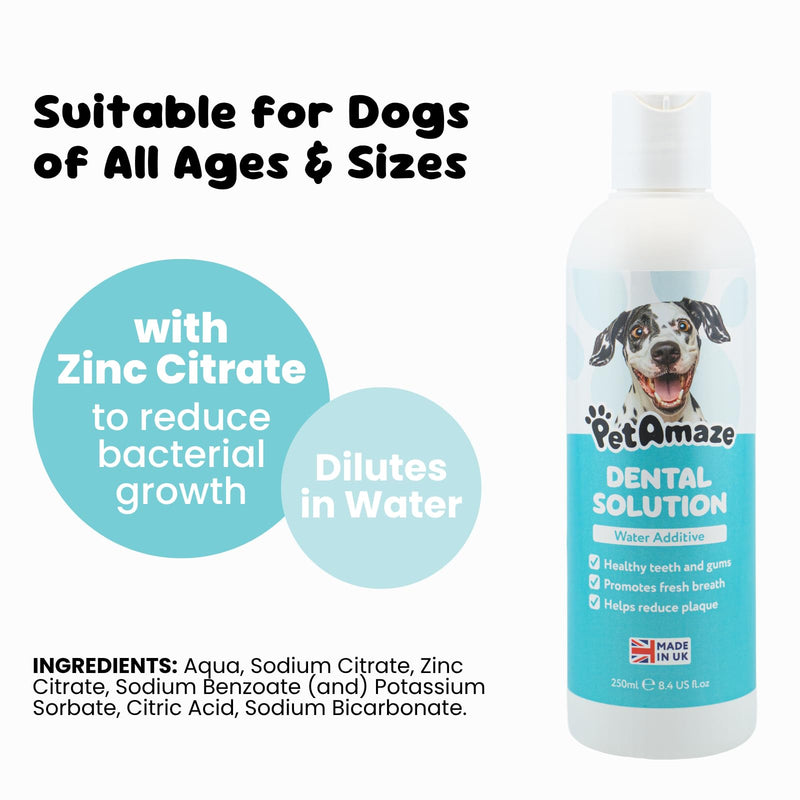 Dental Solution Water Additive for Dogs, Freshens Breath, Reduces Plaque & Tartar, Alcohol-Free Natural Formula, Easy Daily Oral Care, Made in the UK - 250ml