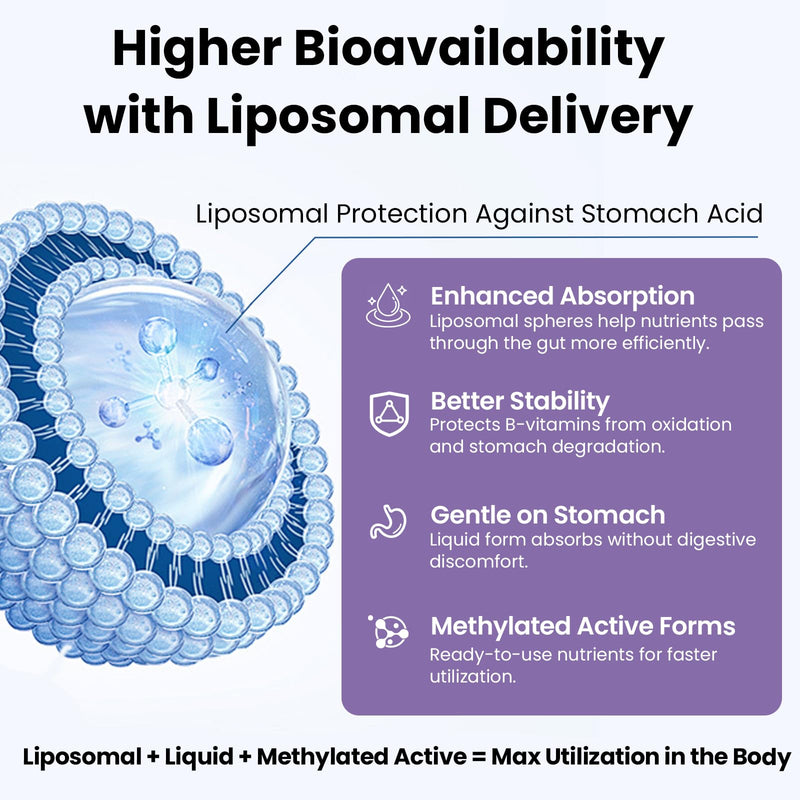 Liposomal Vitamin B Complex Liquid Sublingual B Complex Vitamins Supplement for Women Men Improved Absorption Methylated B12,B1, B2, B3, B5, B6,Folate,Biotin for Energy And Immune Support-4.0 oz 2 Fl Oz (Pack of 2)