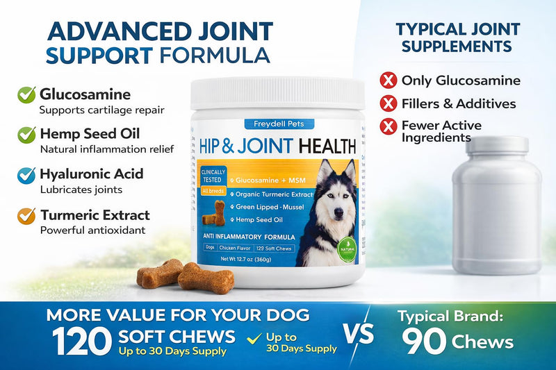 Freydell Pet's Dog Hip and Joint Chews - Keep Your Big Dog Moving – Advanced Joint Chews with Glucosamine, Chondroitin, Hemp Seed Oil & Turmeric to Support Mobility, Flexibility, and Joint Comfort