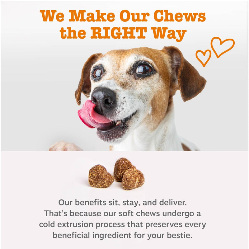 Zesty Paws Dog Allergy Relief Chews, Dog Probiotics for Itchy Skin and Ears, Salmon, 90ct 90 Count (Pack of 1) - Standard