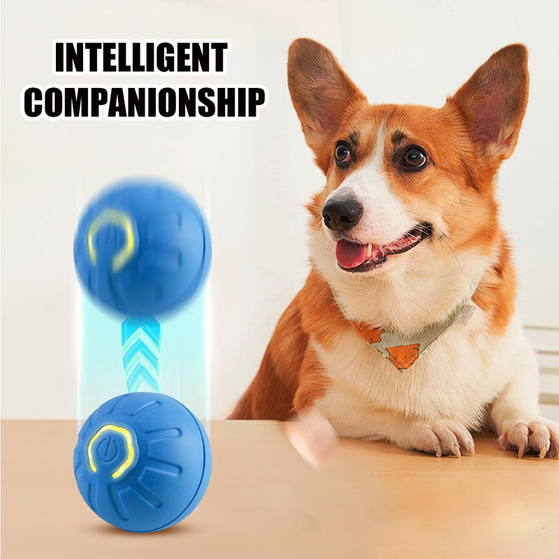 Shaky Ball Toy for Dogs,Vibrating Dog Ball,Shaky Ball Dog Toy,Automatic Moving Dog Toy Ball,Vibrating Ball for Dogs for Small, Medium, Large Dogs (Orange) Orange - BeesActive Australia