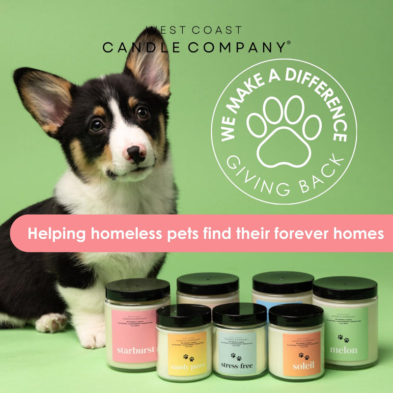 Pet Friendly Wax Melts | Pet Safe Wax Melts | All Natural Dog Safe Wax Melts | Non-Toxic Wax Melts | Pet Odor Eliminator | Pure Soy Wax Melts | Veterinarian Approved (Sandy Paws) Sandy Paws - BeesActive Australia