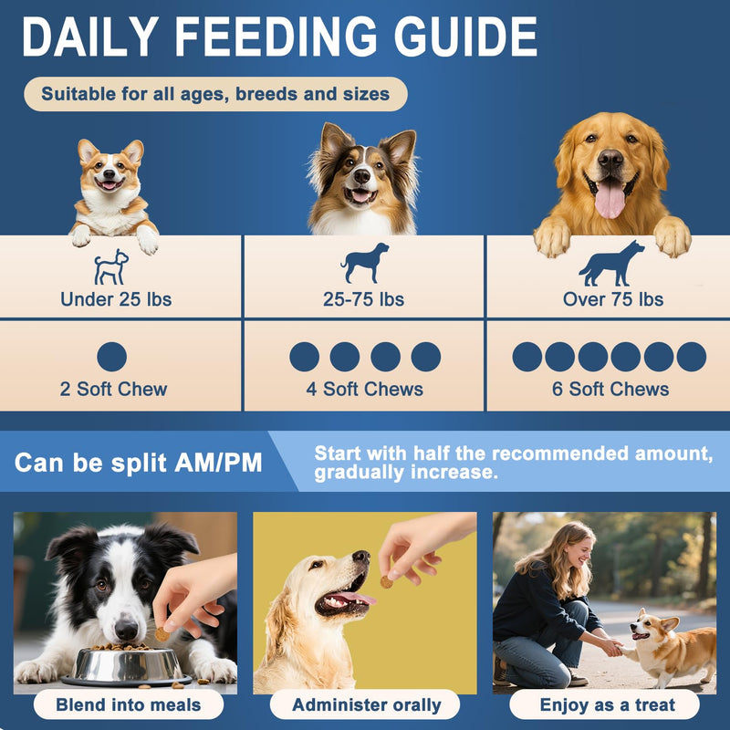 Probiotics for Dogs, Dog Probiotics Chews for Digestive Health & Gut Health, Improve Immune System,Constipation & Diarrhea Relief(Chicken Flavor, 250 Chews) 250 CHEW