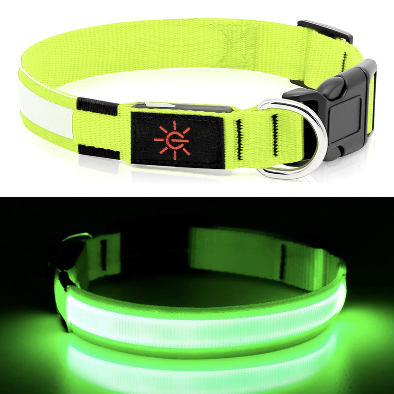 LED Dog Collar- Light up Dog Collars, LED Collar Waterproof, Adjustable Flashing Dog Collar, Rechargeable Dog Collar Visiblity & Safety for Your Dogs (Green, Large) Green - BeesActive Australia