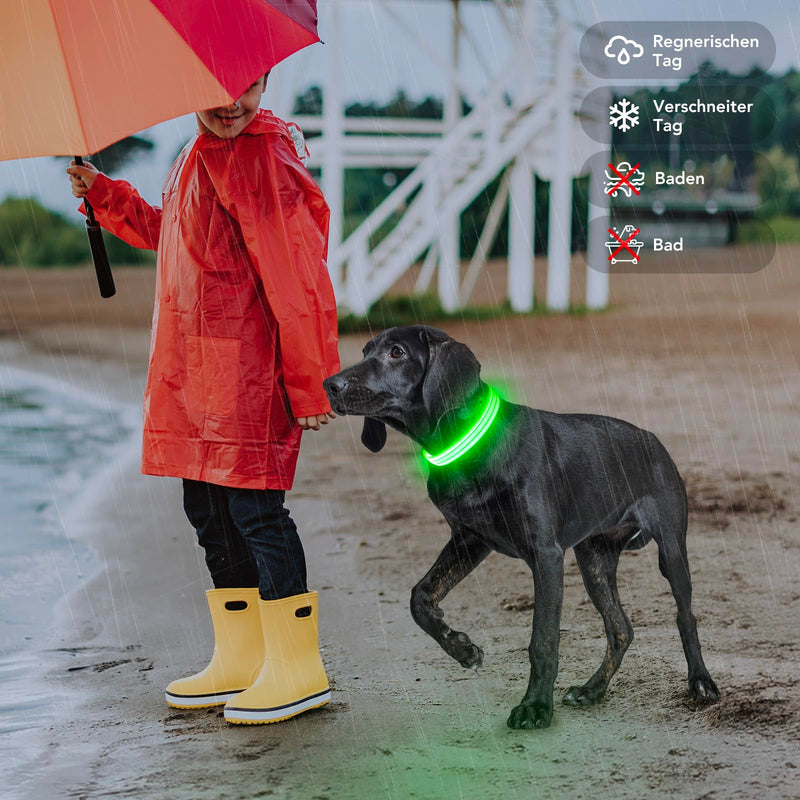 PZRLit Luminous Dog Collar Rechargeable, Dog Collar Luminous for Small Medium Large Dogs, Adjustable LED Collar for Dogs for Night Safety Green, Medium Green - BeesActive Australia
