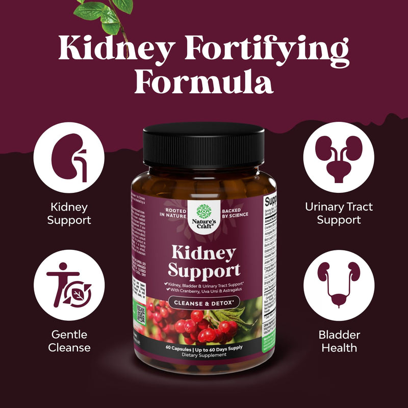Advanced Kidney Support Supplement - Kidney Cleanse Detox & Repair Cranberry Extract Capsules with Uva Ursi, Stinging Nettle & Astragalus for Kidney Health - Urinary Tract Health - 60 Count 60 Count (Pack of 1) - BeesActive Australia