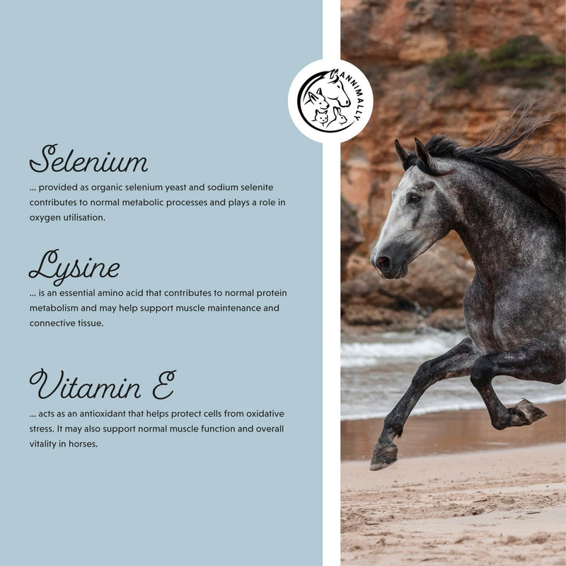 Annimally Vitamin E, Selenium & Lysine for Horses 800 g - Daily Supplement Powder for Muscle Support with Vitamin E, Selenium & Lysine, Made in Germany