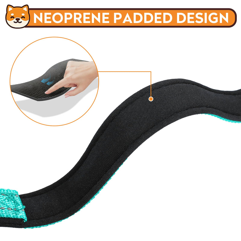 Reflective Dog Collar, Adjustable Soft Neoprene Padded Nylon Pet Collars with Buckle for Medium Dogs, Teal,M - BeesActive Australia
