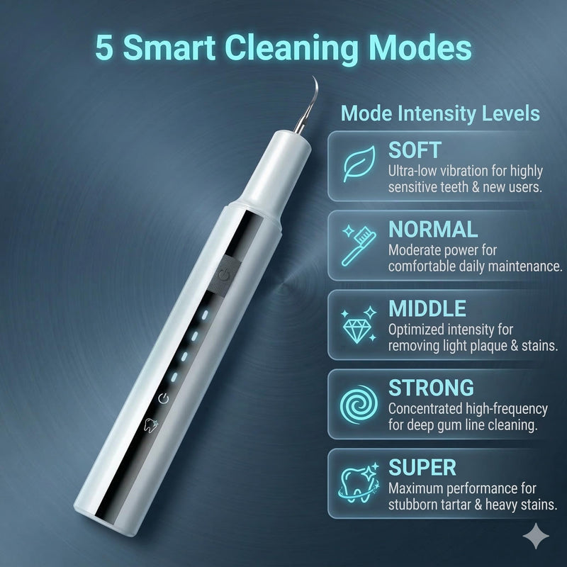 Plaque Remover for Teeth, ARISSON Ultrasonic Tartar Remover, Dental Cleaner with LED Light, 5 Modes Teeth Cleaning Tool, Rechargeable Dental Pick with 2 Replaceable Heads for Home & Travel - BeesActive Australia