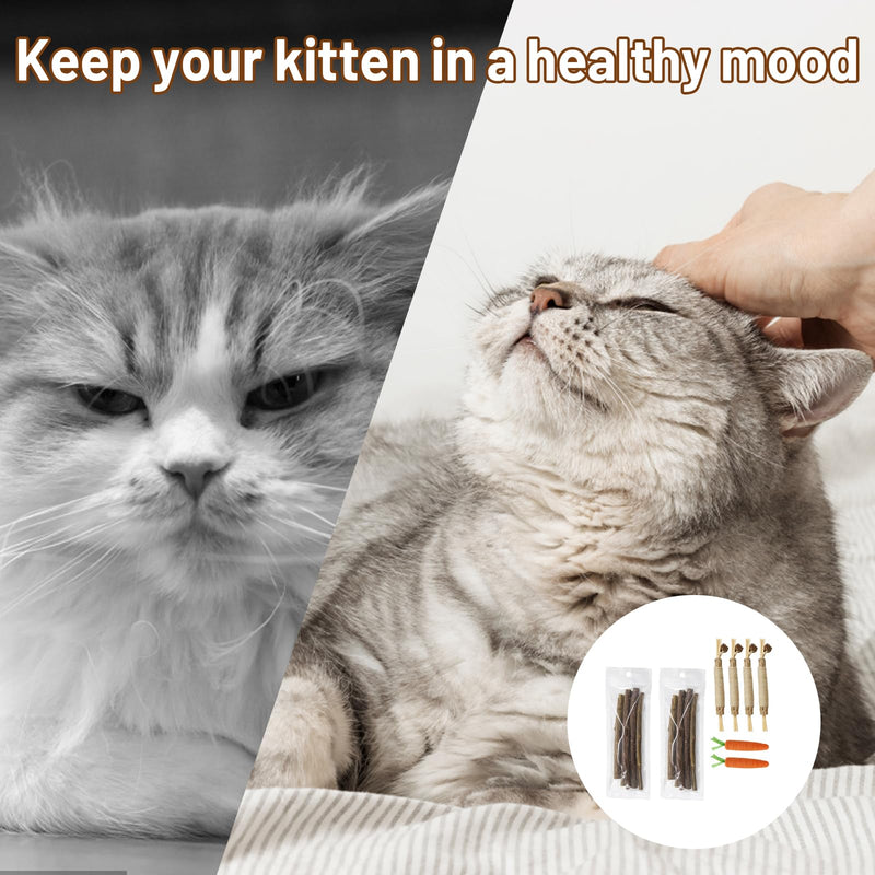 16 PCS Silvervine Sticks for Cats, Dental Chew Tools, Mood Relief for Indoor Cats, Cat Chew Sticks Set with Nice Materials