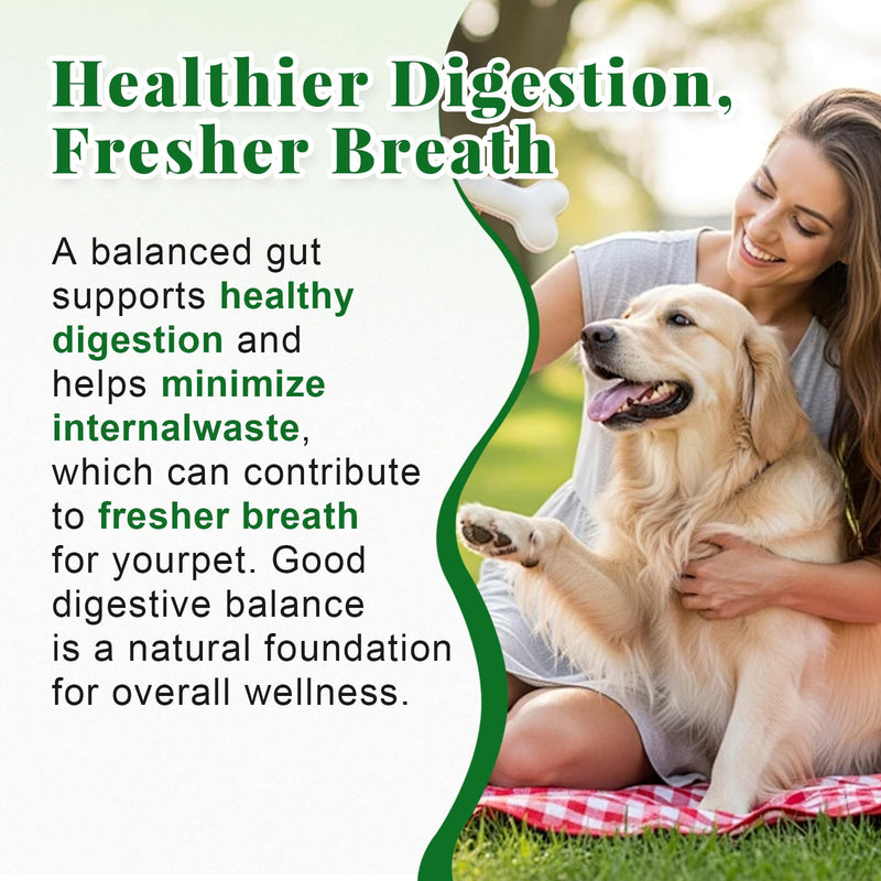 Probiotics for Dogs - Dog Probiotics & Enzymes – 12 Billion CFU 10 Strains, Psyllium Husk, Apple Cider Vinegar – Gut Health, Bloating Relief, Regularity Support – 120 Chews