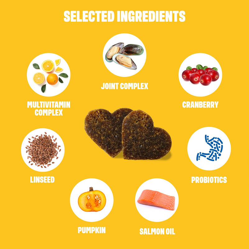 ivvi Multivita food supplements for dogs as snacks - All-round care for a happy dog's life - 60 tasty snacks (270g) with chicken