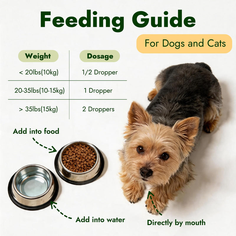 Prostate Urinary Support Drops for Dogs, Saw Palmetto Pumpkin Seed Extract | for Male & Female Dogs & Cats, Supports Bladder & Urinary Comfort, Coat & Hormone Support, Eases Incontinence & Straining