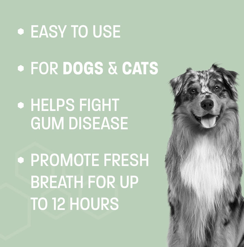 Dog Breath Water Additive - Cat & Dog Water Additive for Dental Care - Dog Dental Water Additive for Dogs Teeth and Bad Breath Treatment for Dogs and Cats - Odorless & Tasteless - 8 oz - PawsPlanet Australia