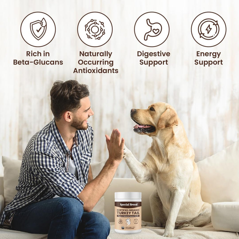 Special Breed Turkey Tail Mushroom for Dogs and Cats - Certified Organic Turkey Tail Powder, Canine Immune Support, 200 Grams - PawsPlanet Australia