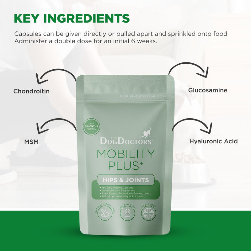 The Dog Doctors Mobility Plus Dog Joint Supplements, 150 Capsules with Glucosamine, Chondroitin, MSM & Hyaluronic Acid for Cartilage, Ligaments, Connective Tissue & Hip & Joint Care for Dogs, UK Made