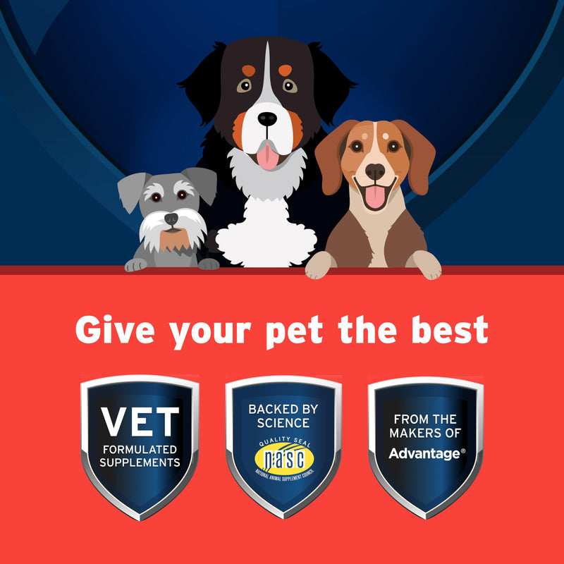 Pet Protect from The Makers of Advantage Vet-Formulated Hip & Joint Supplement for Dogs | 120 Chews - PawsPlanet Australia