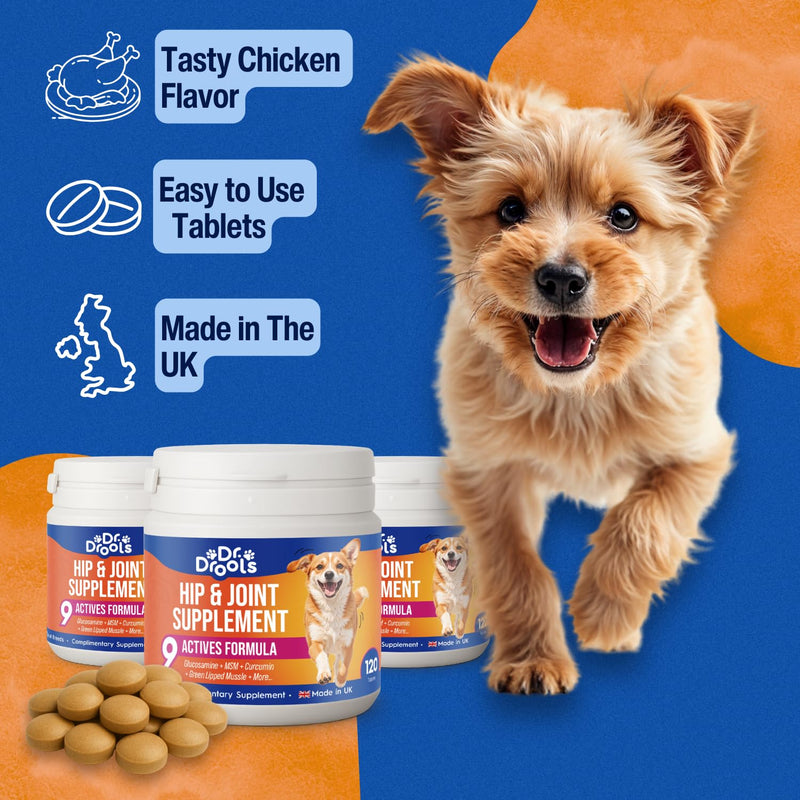 Hip & Joint Tablets for Dogs | Supports Joint Flexibility, Mobility, Healthy Cartilage & Helps Soothe Stiff Joints | With Glucosamine, Green-Lipped Mussel | Daily Use | 120 Tablets