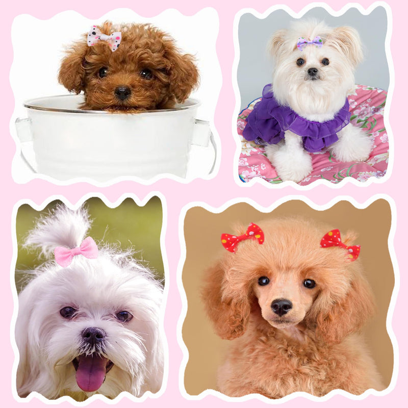 Puppy Hair Bows Small Dog: Mini Rubber Bands 60pcs - BeesActive Australia