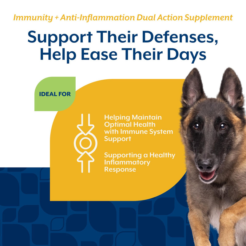 NaturVet Immunity + Anti-Inflammation Dual Action Supplements for Dogs, Helps Support Immune Response & Joint Comfort with Turmeric, Tart Cherry, Vitamin C, D, & Zinc, 60 Hickory Bacon Soft Chews