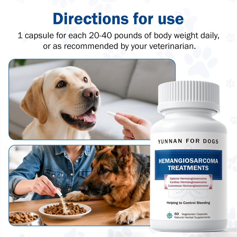 Fast Acting Bleeding Control for Dogs - Yunnan Sanqi Herbal Capsules, Supports Internal Bleeding, Hemangiosarcoma, Nosebleeds, Bloody Stools, Post-Surgical Recovery, 60 Capsules