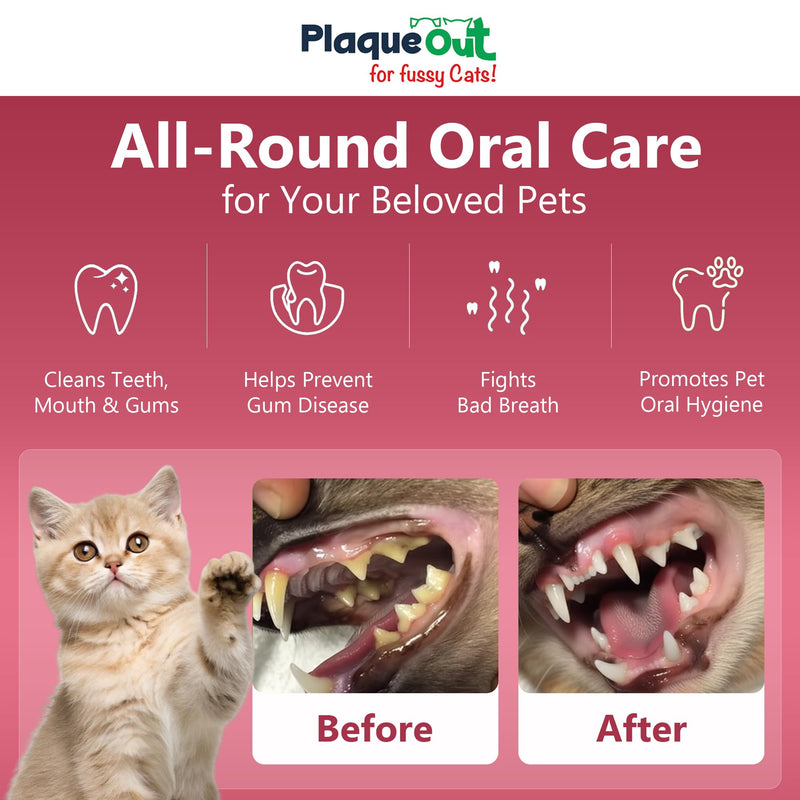 PLAQUE OUT for Fussy Cats 200g Pot - Plaque Off Remover - 100% Natural and Organic Seaweed Powder for Cats - Cat Teeth Cleaning, Cat Plaque Removal, Cat Dental Care, Bad Breath & Gum Care