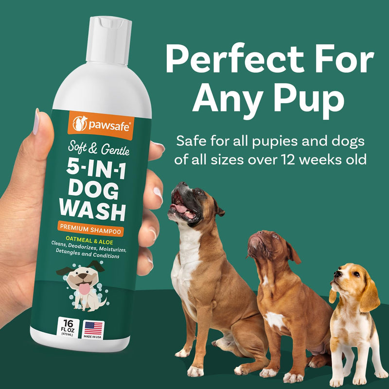 Dog Shampoo and Conditioner with Oatmeal & Aloe, Natural Soothing Gentle Dog Wash, Itch Relief, Nourishes Dry, Sensitive Skin, Best Bath Grooming Cleaner, Deodorizing, Moisturizer, Detangler Treatment Updated - BeesActive Australia