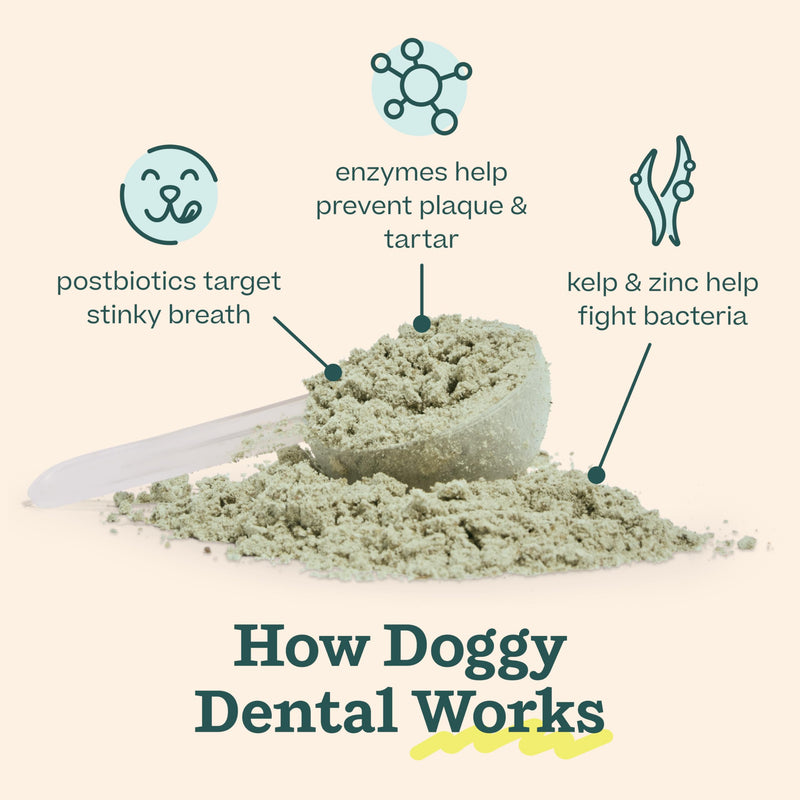 Woof Doggy Dental Pupsicle Mix - Dog Teeth Cleaning Powder for the Pupsicle - Long Lasting Postbiotic Dental Enzyme Mix to Support Oral Health for Dogs Dental Mix